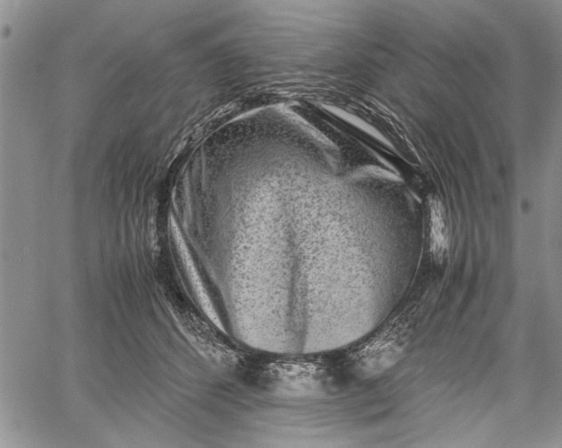 X0000062650512200601040921