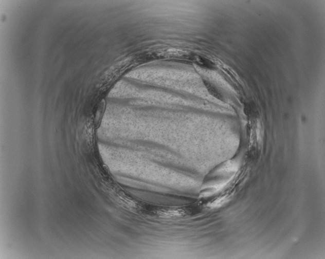 X0000062650513200601040921