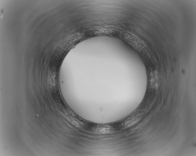 X0000062650514200601040921