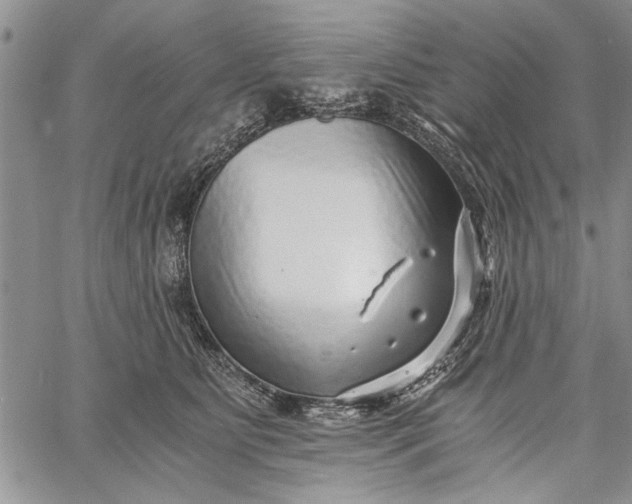 X0000062650515200601040921