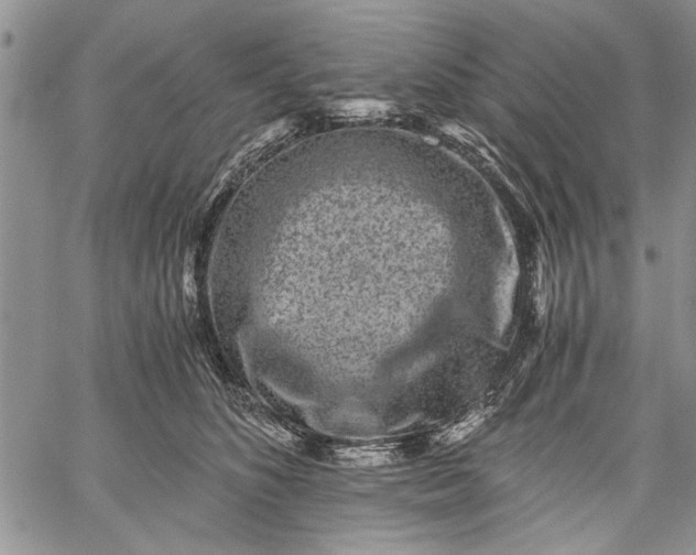 X0000062650516200601040921