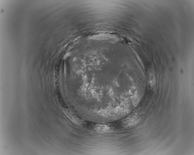 X0000062650519200601040921