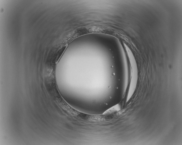 X0000062650521200601040921