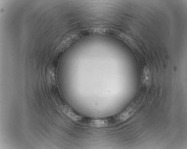 X0000062650522200601040921