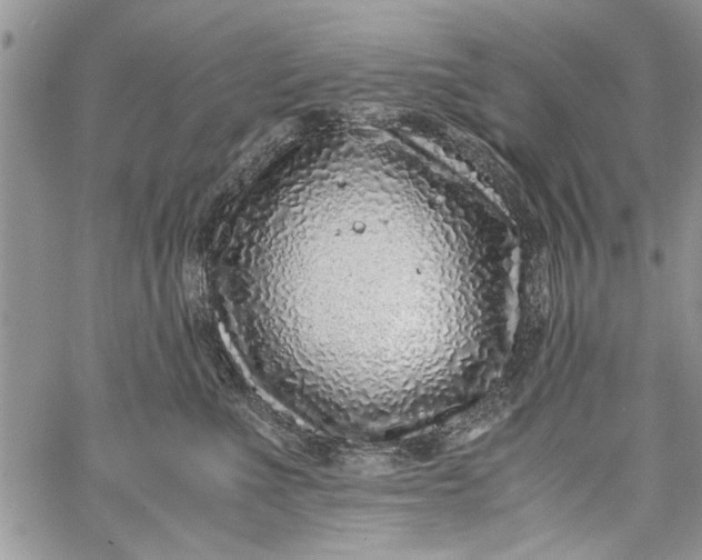 X0000062650523200601040921