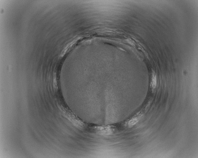 X0000062650524200601040921