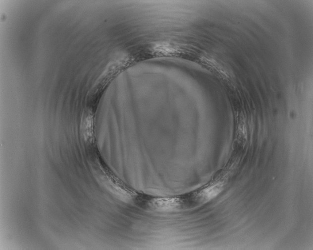 X0000062650526200601040921