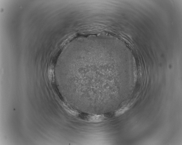 X0000062650527200601040921