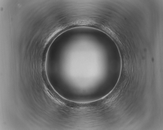 X0000062650530200601040920