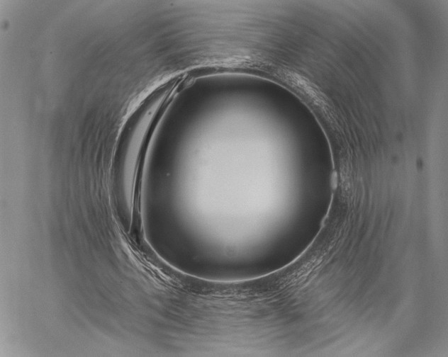 X0000062650532200601040920