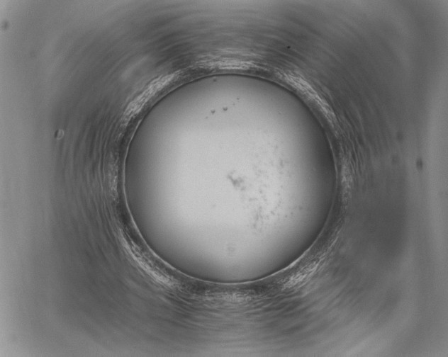 X0000062650533200601040920