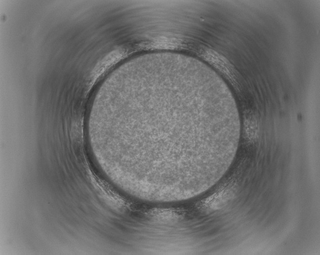 X0000062650534200601040920