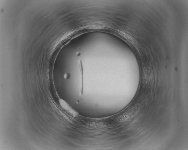 X0000062650535200601040920