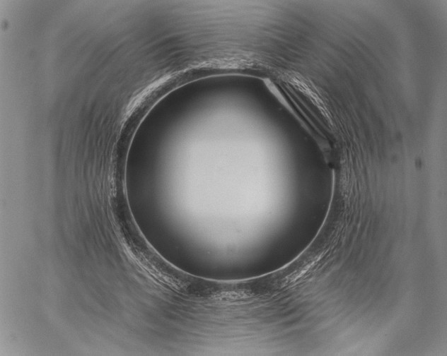 X0000062650536200601040920