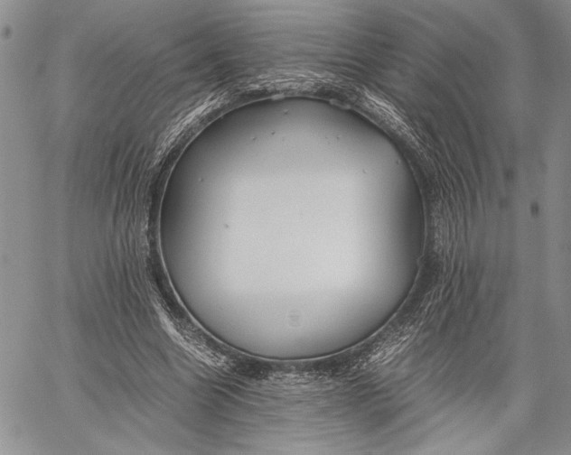 X0000062650538200601040920