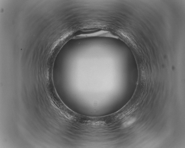 X0000062650539200601040920