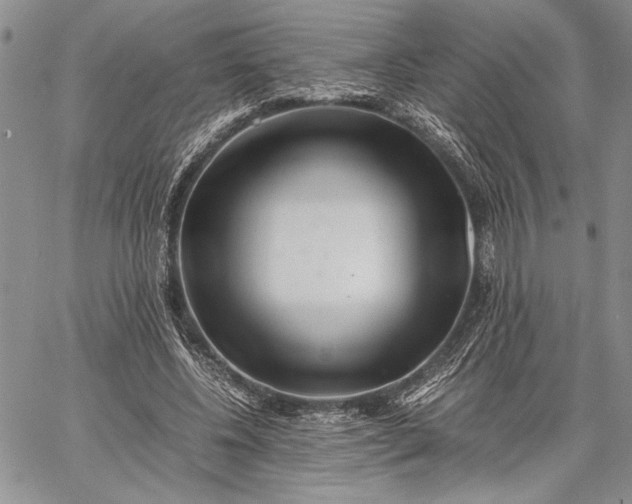 X0000062650540200601040920