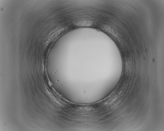 X0000062650541200601040920