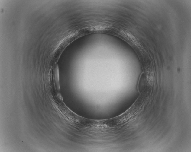 X0000062650543200601040920