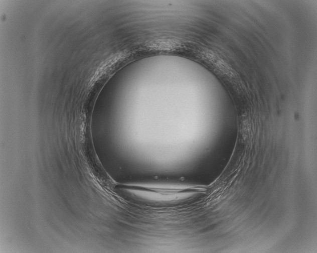 X0000062650544200601040920