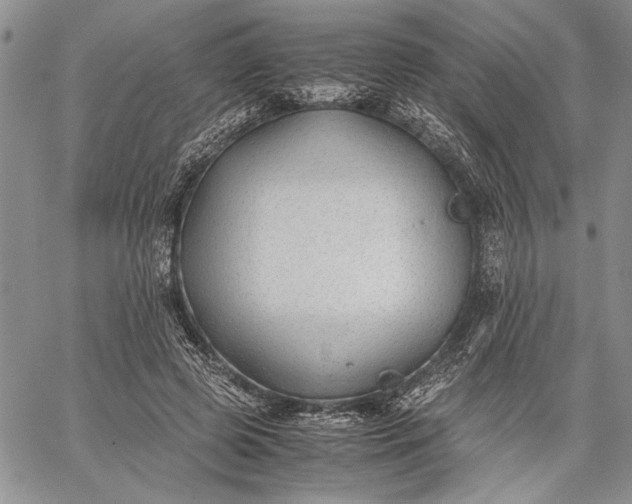 X0000062650545200601040920