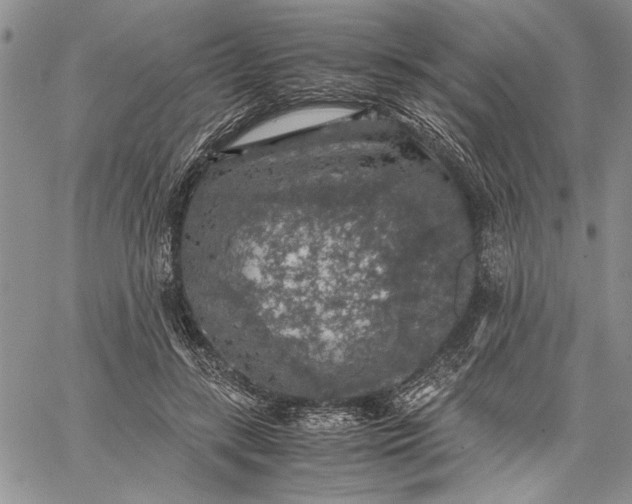 X0000062650547200601040920