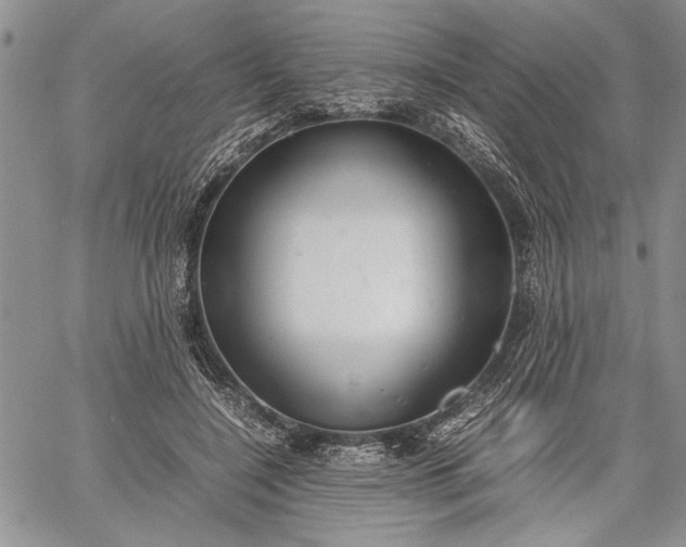 X0000062650548200601040921