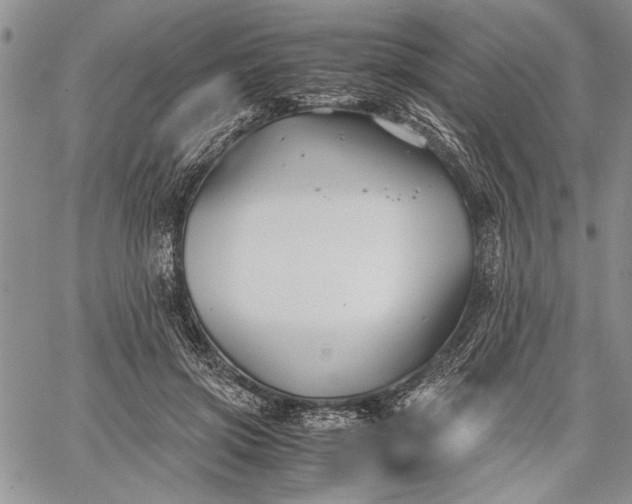 X0000062650549200601040921