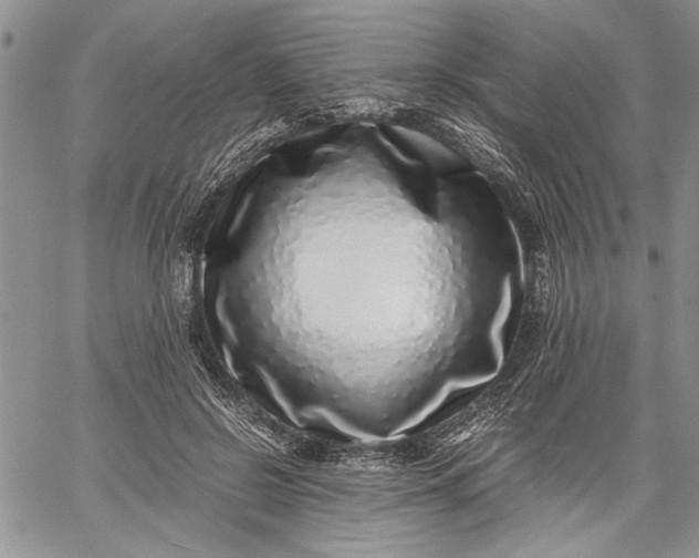 X0000062650550200601040921