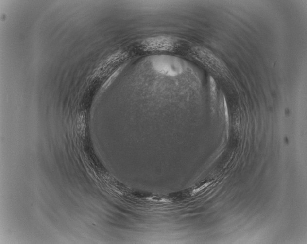 X0000062650551200601040921