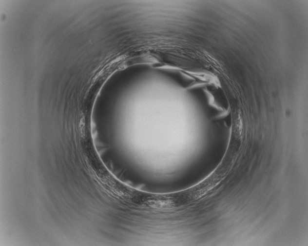 X0000062650552200601040921