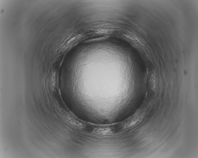 X0000062650554200601040921