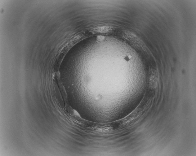 X0000062650555200601040921