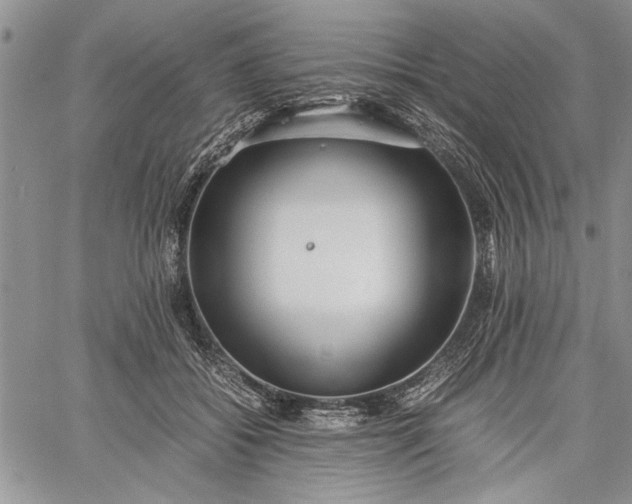 X0000062650556200601040921