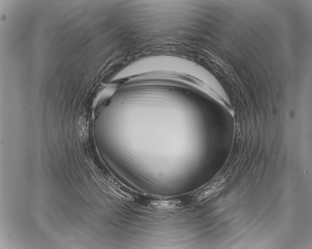 X0000062650558200601040921