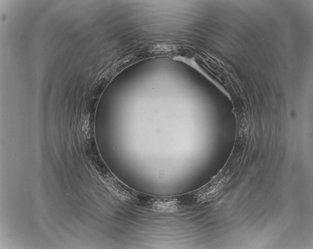 X0000062650560200601040921