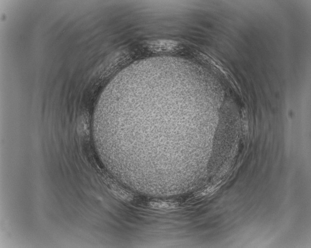 X0000062650561200601040921