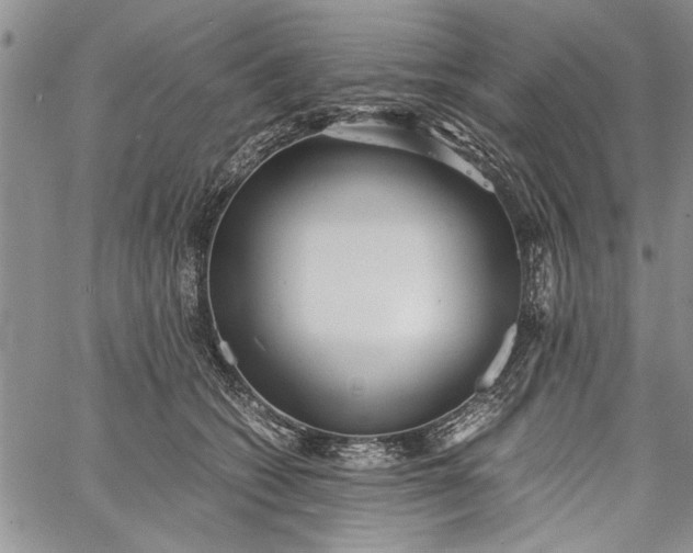 X0000062650562200601040921