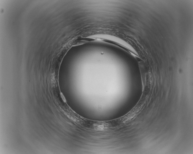 X0000062650564200601040921