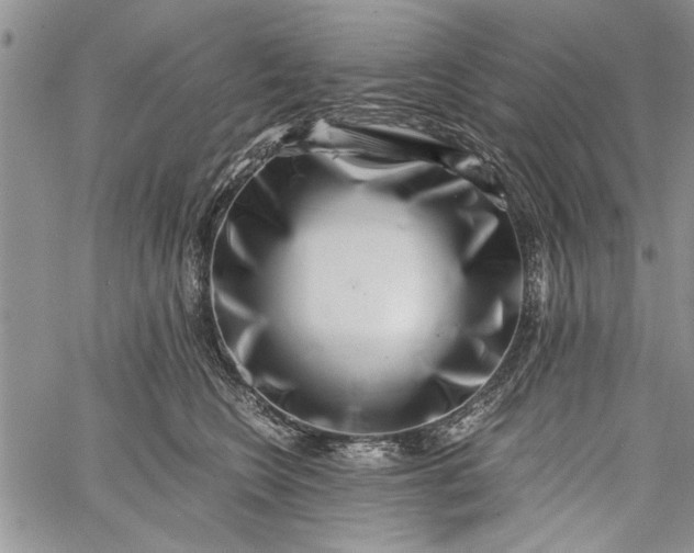 X0000062650566200601040921