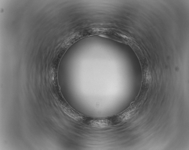 X0000062650567200601040921