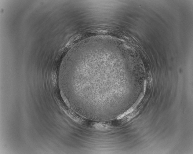 X0000062650568200601040921