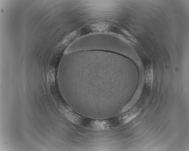 X0000062650570200601040921