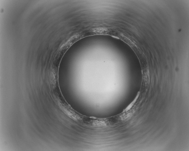 X0000062650572200601040921