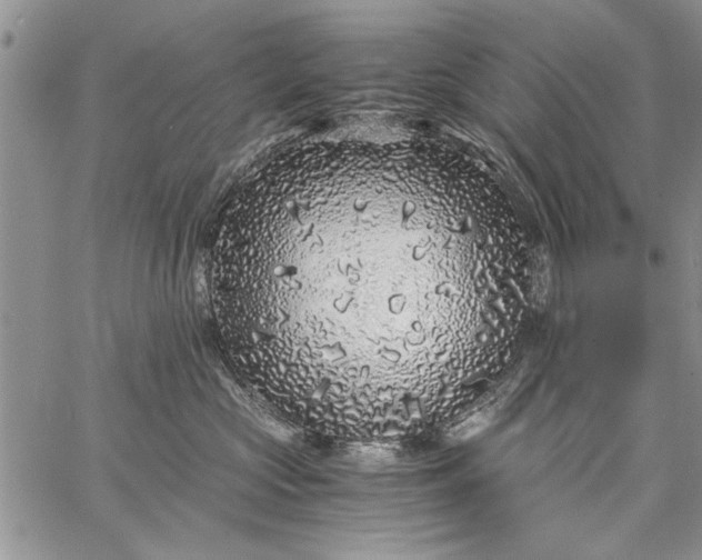 X0000062650573200601040921