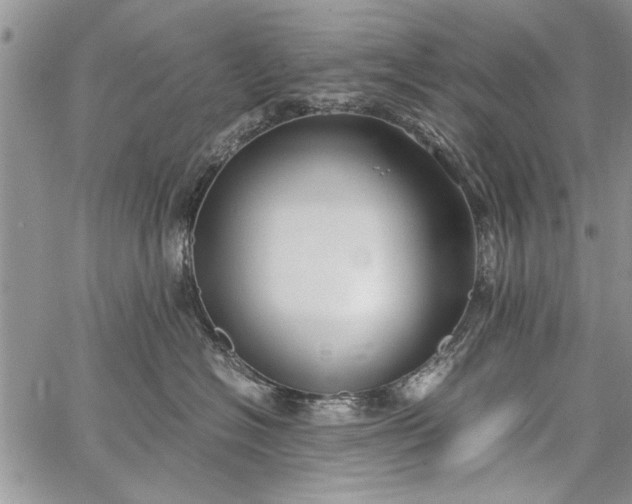 X0000062650574200601040921