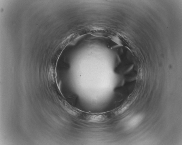 X0000062650575200601040921