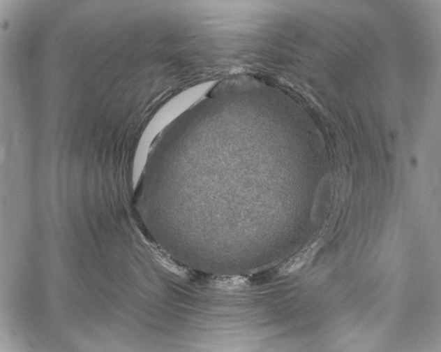 X0000062650576200601040921