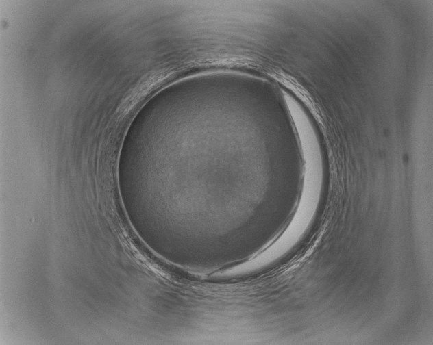 X0000062650577200601040920