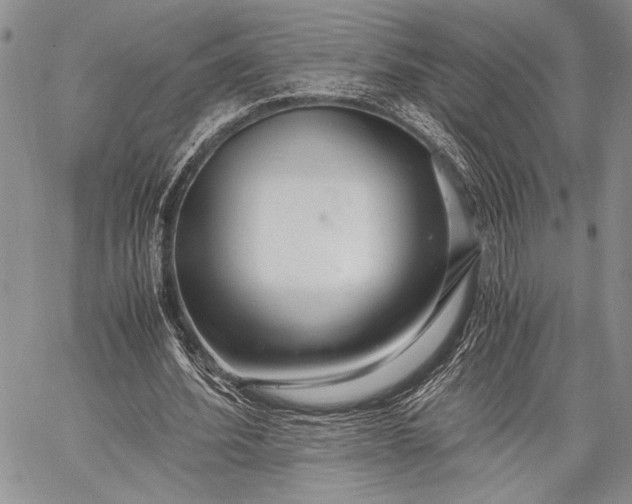 X0000062650580200601040920